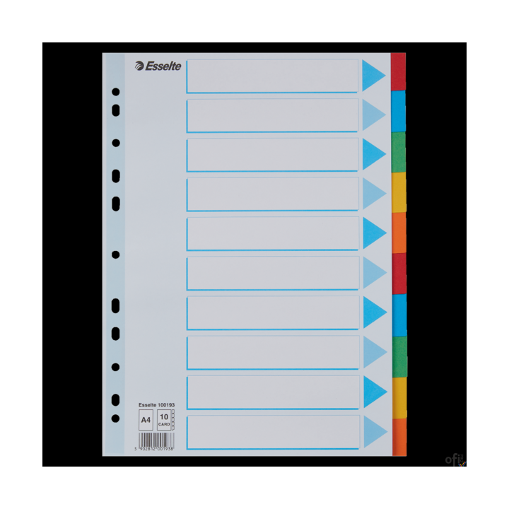 Przekładki karton A4 10 kart ESSELTE 100193 kolorowe z kartą opisową