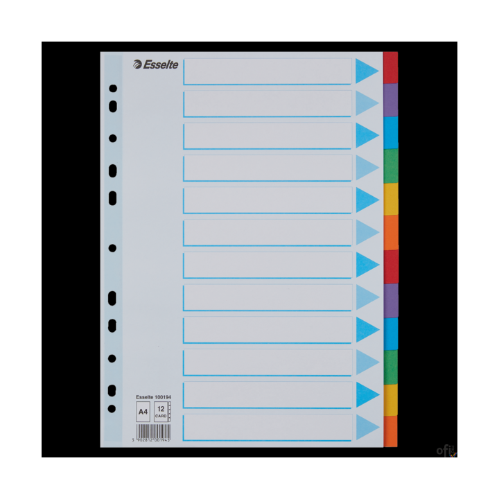 Przekładki kolorowy karton z kartą opisową A4 ESSELTE 12 kart 100194