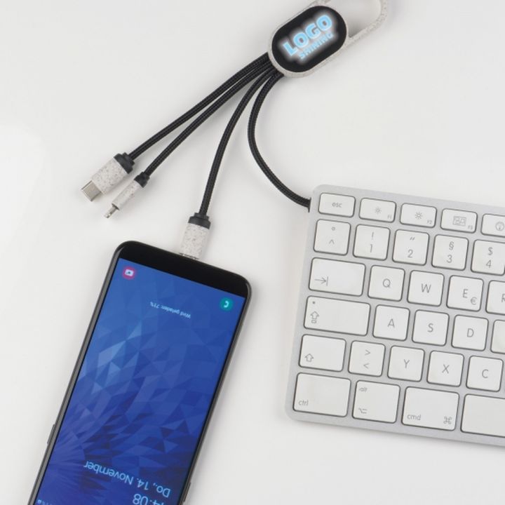 Kabel do ładowania 3w1 CARMEN - Beżowy