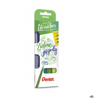 Brush SignPen __Idealny dla początkujących użytkowników__Do tworzenia nowoczesnych liter, napisów i ilustracji__Elastyczna, pędz