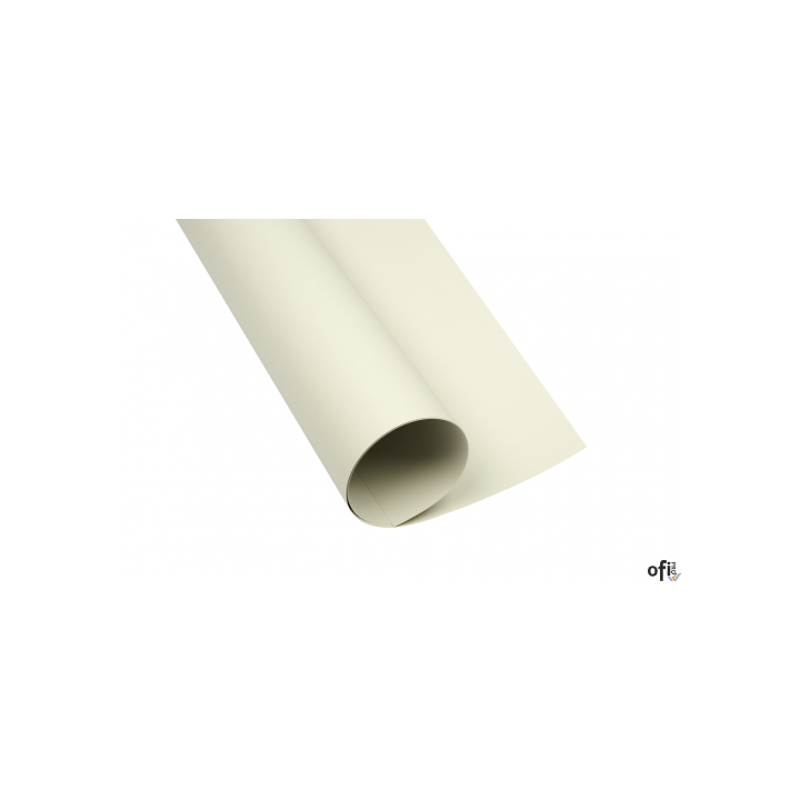 Karton kolorowy Creatinio A1 160g 25ark nr.93 jasnoszary 400149522 TOP-2000