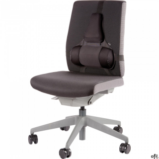 Podpórka pod plecy profesjonalna - Professional Series 8041801 FELLOWES SALE