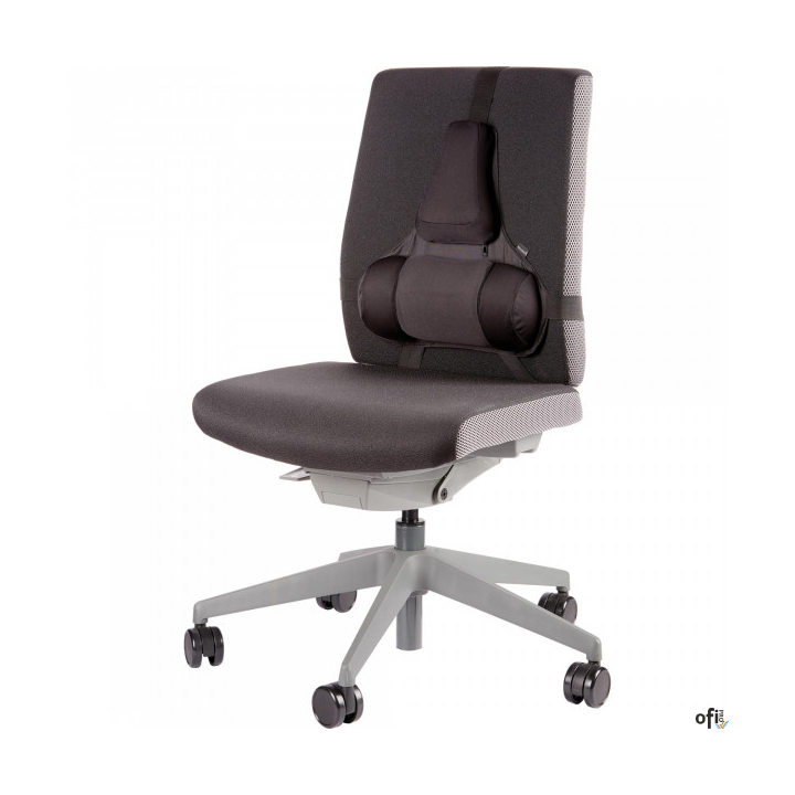 Podpórka pod plecy profesjonalna - Professional Series 8041801 FELLOWES SALE