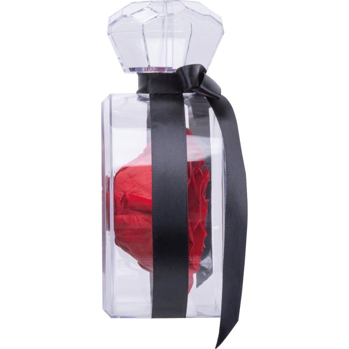 Róża dekoracyjna MARCELLA - Czerwony