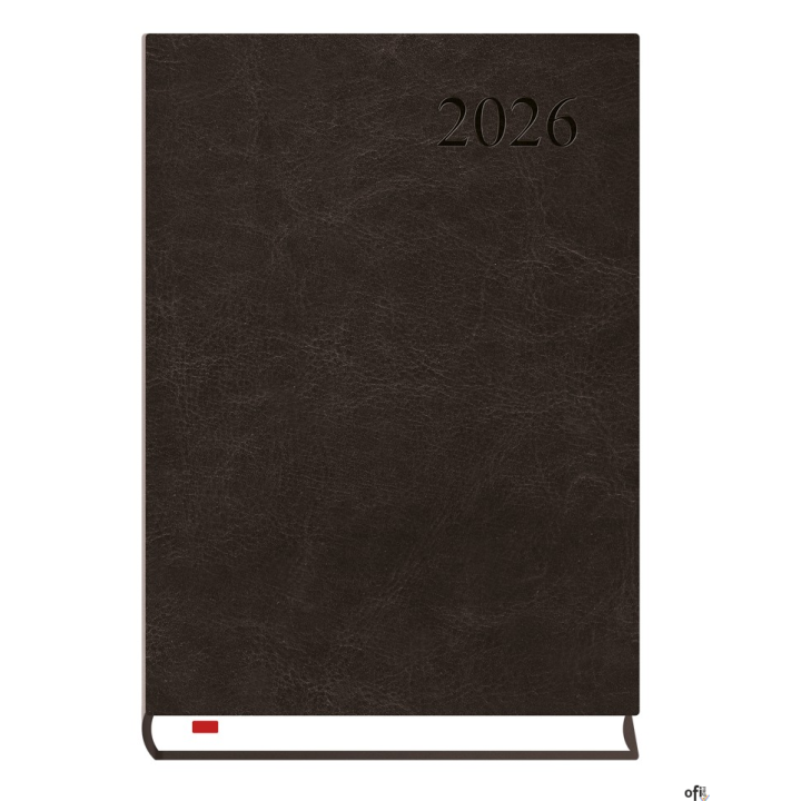 Kalendarz Asystent ALASKA A5 2026 - czarny Michalczyk i Prokop T-237A-V