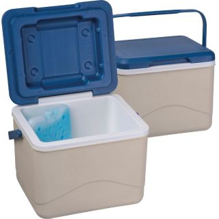 Lodówka turystyczna 5 l CrisMa ARIANNA - Beżowy