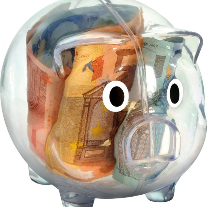 Skarbonka świnka TRUDY