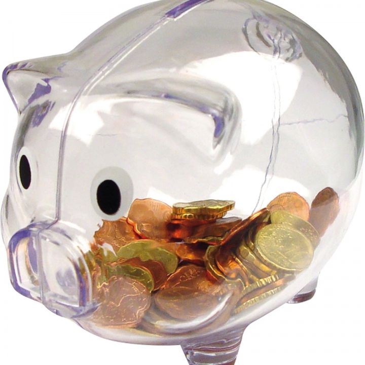 Skarbonka świnka TRUDY