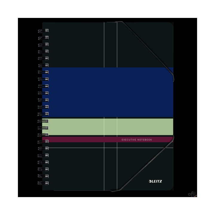 Kołonotatnik Be Mobile EXECUTIVE A4 PP kratka 44630000 LEITZ (X)
