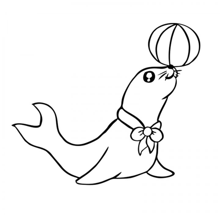 Zestaw do kolorowania z kredkami 6 kolorów CORNELIA