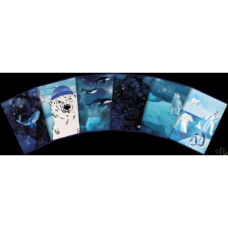 Zeszyt_linia z marginesem Winter Sailor A5 60 kartek, 70g/m2 TOP 2000 4001579 SALE 60k