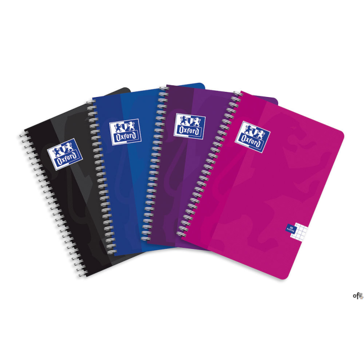 Kołonotatnik 90x140 50 kartek, kratka, STANDARD, OXFORD, 400107520