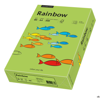 Papier xero kolorowy A3 80g 500 ark. RAINBOW R76 zielony  88042654
