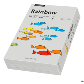 Papier xero kolorowy A4 160g 250 ark. RAINBOW R96 szary 88042813