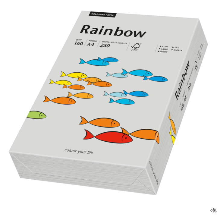 Papier xero kolorowy A4 160g 250 ark. RAINBOW R96 szary 88042813
