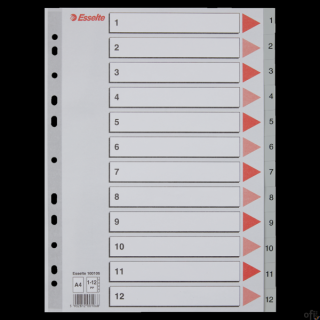 Przekładki plastikowe szare PP A4 1-12 100106 numeryczne ESSELTE