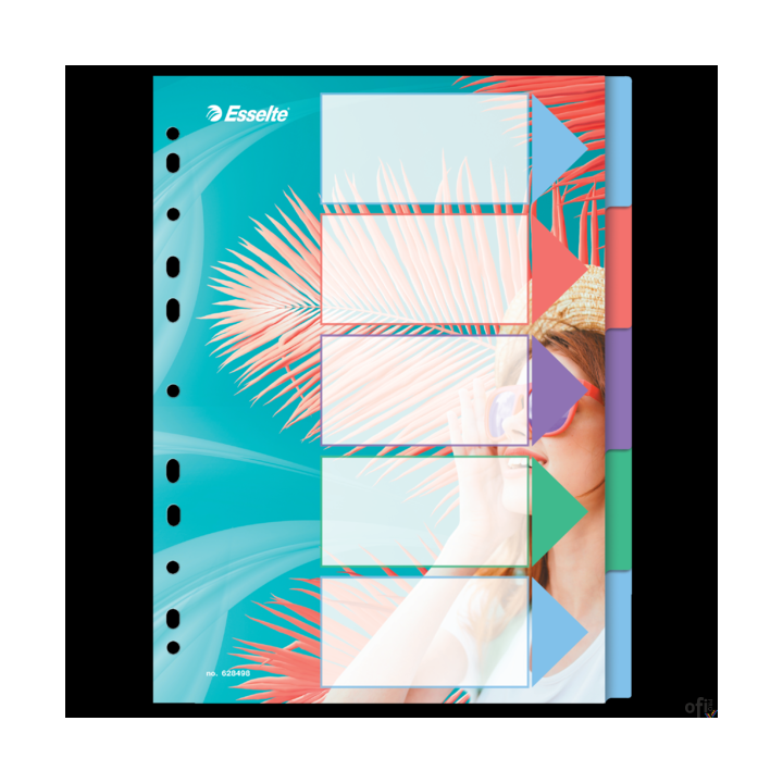 Przekładki ColourBreeze PP A4, 5 przekładek Esselte 628498