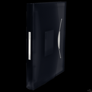 Teczka z przegródkami ESSELTE VIVIDA czarna 624017