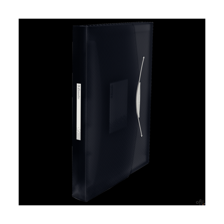 Teczka z przegródkami ESSELTE VIVIDA czarna 624017