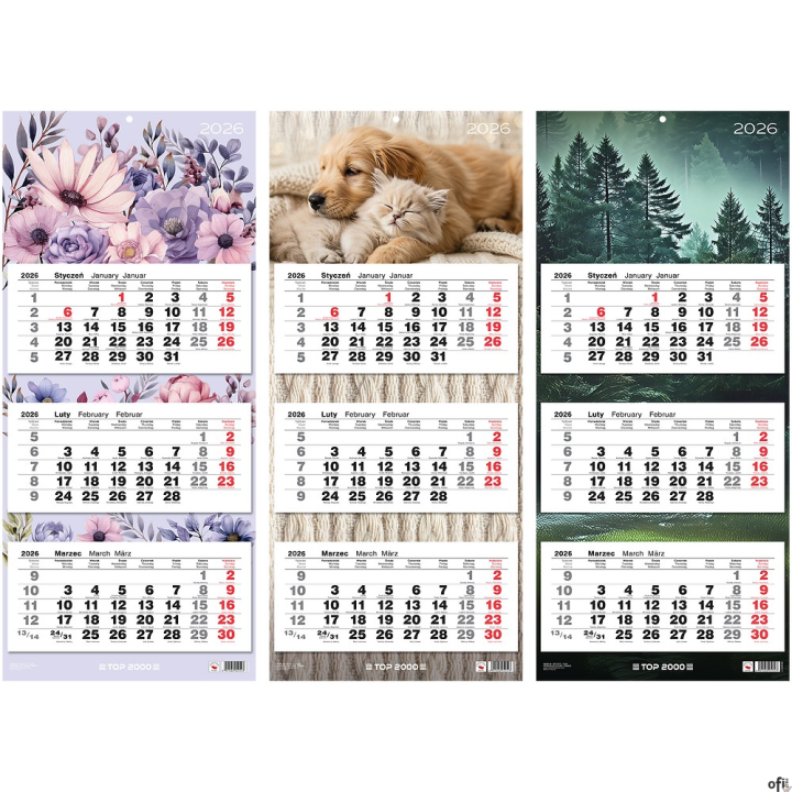 Kalendarz trojdzielny Top 2000 mix 2026 31x71cm 400204171