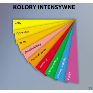 Papiery ksero kolorowe_- pastelowe, żywe, głębokie i neonowe odcienie_- papier kolorowy nadaje kolory Twojej korespondencji_- pr