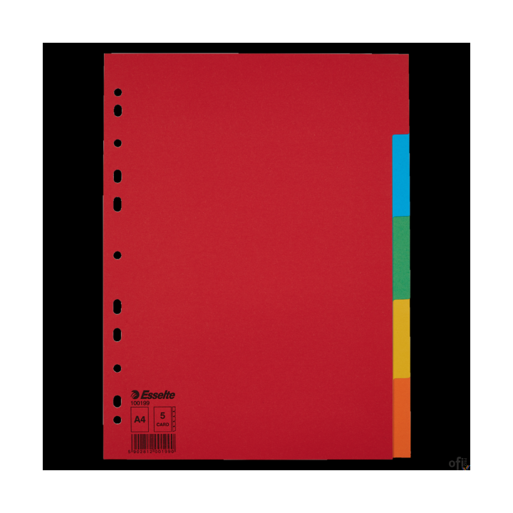 Przekładki karton A4 5 kart ESSELTE 100199 kolorowe bez karty opisowej