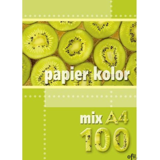 Papier xero A4 mix kolorów 160g (100 arkuszy) KRESKA.