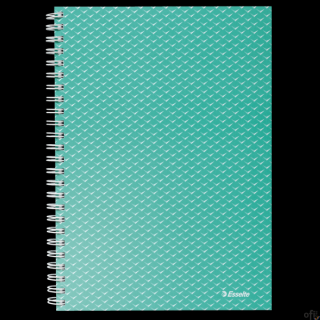 Kołonotatnik ColournullBreeze A5, w kratkę, zielony Esselte 628467
