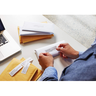 Standardowa Etykieta DYMO adresowa - 89 x 28 mm, biały S0722370