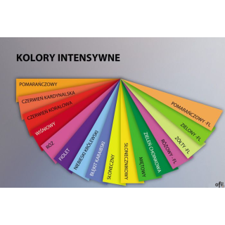 Papier ksero kolorowy Clairefontaine-Trophee - oferta obejmuje pełną gamę kolorów papieru kserograficznego kolorowego firmy Pape