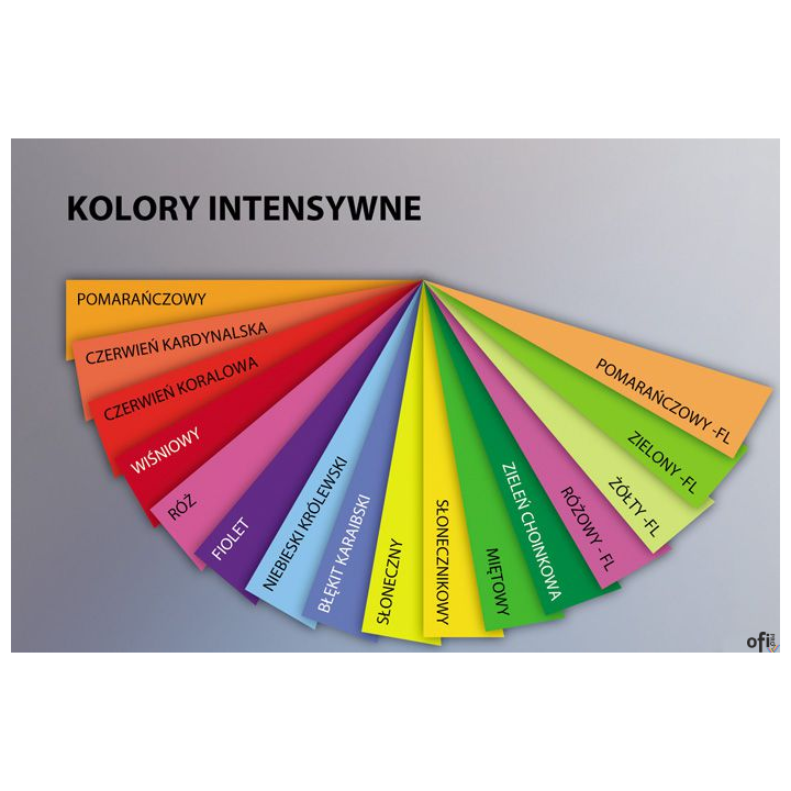 Papier ksero kolorowy Clairefontaine-Trophee - oferta obejmuje pełną gamę kolorów papieru kserograficznego kolorowego firmy Pape