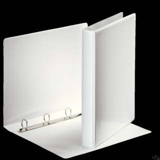 Segregator PANORAMA A4 4DR/20 38mm biały ofertowy ESSELTE 49701