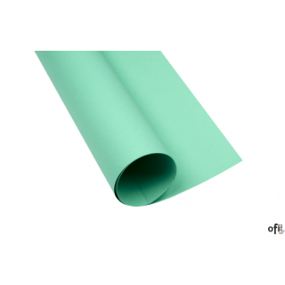 Karton kolorowy Creatinio A2 160g 25ark nr.64 seledynowy 400150190 TOP-2000