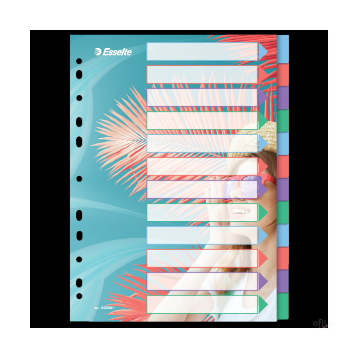 Przekładki ColourBreeze PP A4, 12 przekładek Esselte 628501