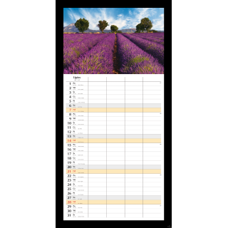 Planer miesięczny 2024 Michalczyk i Prokop T-108S-2  kalendarz ścienny