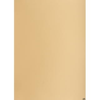 Karton kolorowy Creatinio B2 225g 25ark nr.16 jasnobrązowy 400150327 TOP-2000