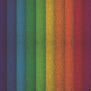 Bibuła marszczona Creatinio 50x200 mix tęczowy komplet 10 sztuk 400153931 TOP-2000