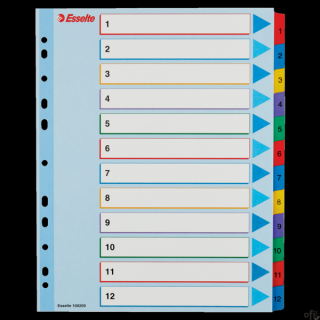 Przekładki kartonowe MYLAR A4 MAXI 1-12 ESSELTE 100209