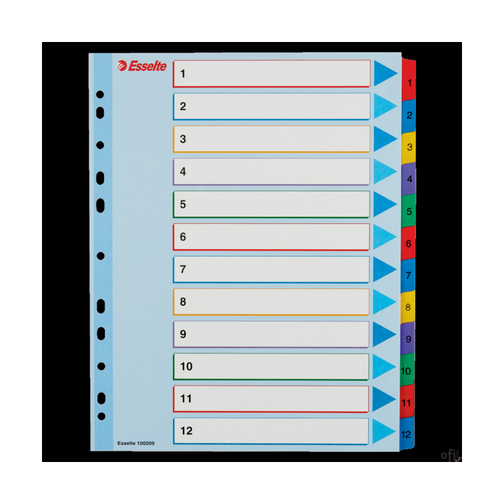 Przekładki kartonowe MYLAR A4 MAXI 1-12 ESSELTE 100209