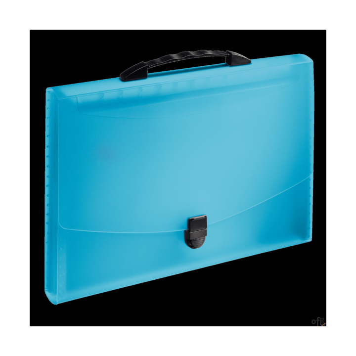 Teczka z przegródkami i rączką niebieska ESSELTE VIVIDA 624022